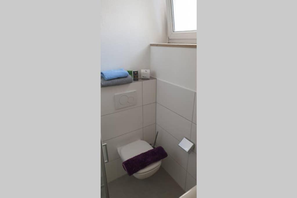 Ferienwohnung Charlotte Seebrise 腓特烈港 外观 照片
